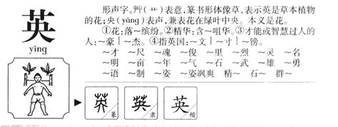 英 五行|英字取名寓意